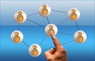 开云电竞-追逐冠军梦:球队的最终目标!,追梦球员