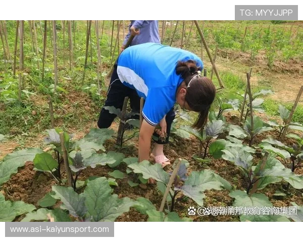 教师管教困境，不只是个人问题更是社会课题，教师管教学生
