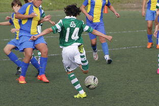 开云网站-上海申花再遭柔佛新山逆转，1-3失利痛失连胜机会